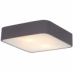 Светильники Ambrella light