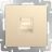 Розетка компьютерная Werkel RJ-45 W1181010 шампань рифленый (WL10-RJ-45)