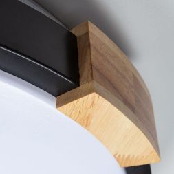 Потолочный светодиодный светильник Arte Lamp A2683PL-72BK