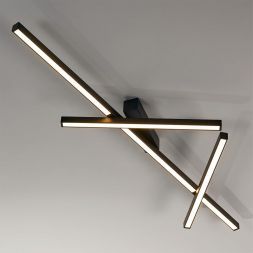 Потолочный светодиодный светильник Odeon Light 4367/50CL Tao