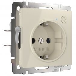 Розетка Wi-Fi (слоновая кость) Werkel W1171603