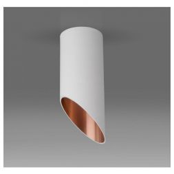Накладной потолочный светильник Elektrostandard DLN114 GU10 белый/золото