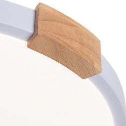 Потолочный светодиодный светильник Arte Lamp A2684PL-72WH