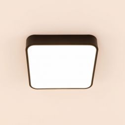 Светильник потолочный Citilux CL724K24V1