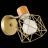 Светильник настенный Evoluce SLE110401-01 STELITTO