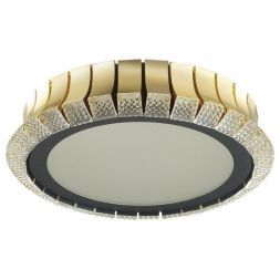 Потолочный светодиодный светильник Odeon Light 4994/75L Asturo