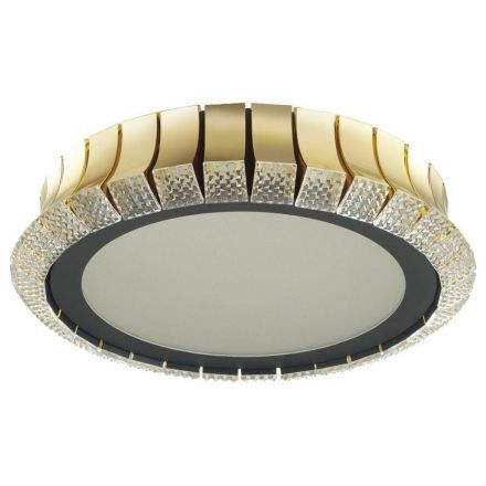 Потолочный светодиодный светильник Odeon Light 4994/75L Asturo