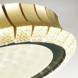 Потолочный светодиодный светильник Odeon Light 4994/75L Asturo