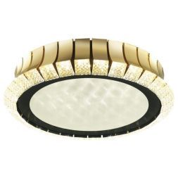 Потолочный светодиодный светильник Odeon Light 4994/75L Asturo