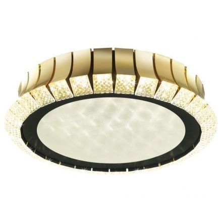 Потолочный светодиодный светильник Odeon Light 4994/75L Asturo
