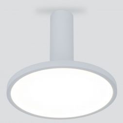 Накладной светодиодный светильник Elektrostandard DLS029 12W 4200K белый матовый