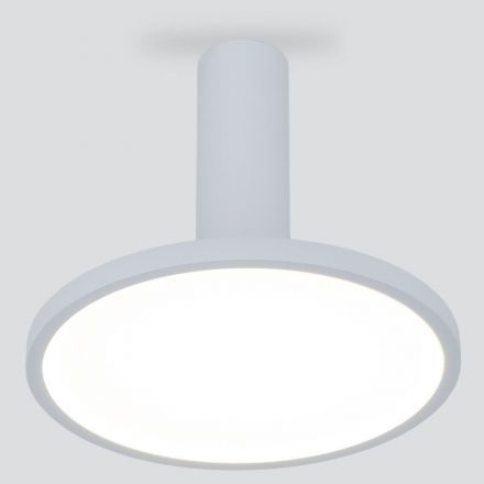 Накладной светодиодный светильник Elektrostandard DLS029 12W 4200K белый матовый