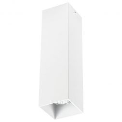 Потолочный светильник Lightstar 216596