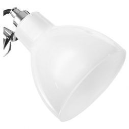 Настольная лампа Lightstar 865914