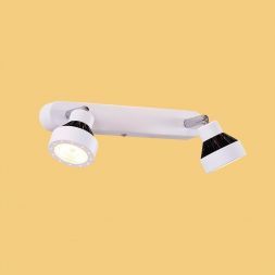 Спот Citilux CL557521