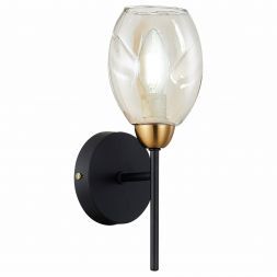 Бра Evoluce SLE155501-01 GLOA