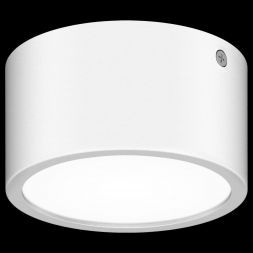 Уличный светодиодный светильник Lightstar 380163