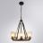 Подвесная люстра Arte Lamp A7014SP-5BK Dalim