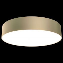 Потолочный светодиодный светильник Maytoni Technical C032CL-L43MG3K Zon