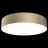 Потолочный светодиодный светильник Maytoni Technical C032CL-L43MG3K Zon