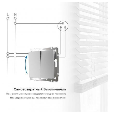 Выключатель двухклавишный с самовозвратом (серебряный) Werkel W1122406