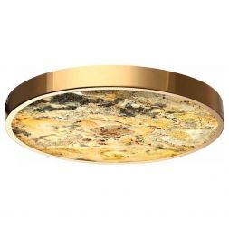 Настенно-потолочный светильник Odeon Light BERGI 5079/40L