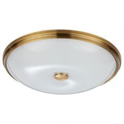Потолочный светильник Odeon Light Pelow 4956/5