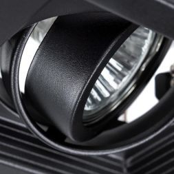 Встраиваемый светильник Arte Lamp A6661PL-1BK Canis