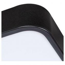 Потолочный светодиодный светильник Arte Lamp A2687PL-45BK