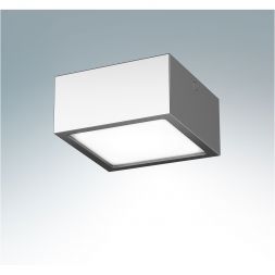 Настенно-потолочный светильник Lightstar 213924