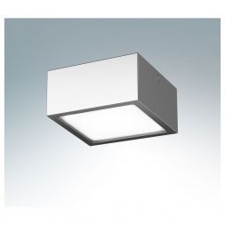 Настенно-потолочный светильник Lightstar 213924