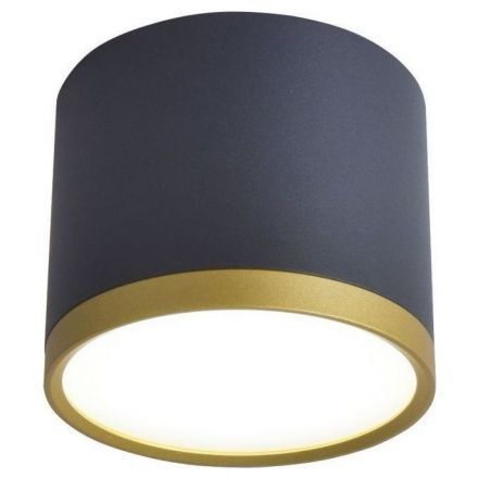 Потолочный светильник Favourite Baral 3081-2C