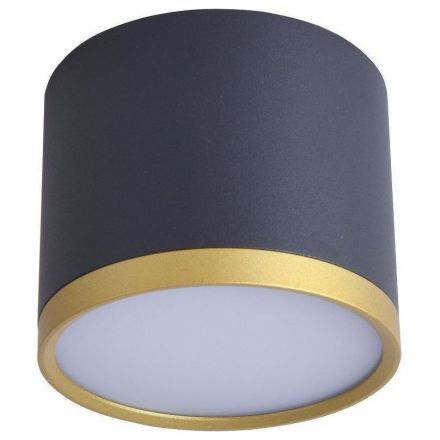 Потолочный светильник Favourite Baral 3081-2C