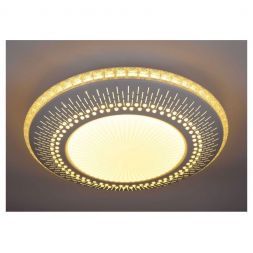 Потолочный светодиодный светильник Escada 10213/1LED
