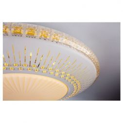 Потолочный светодиодный светильник Escada 10213/1LED
