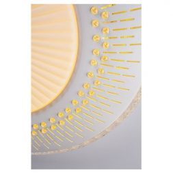 Потолочный светодиодный светильник Escada 10213/1LED