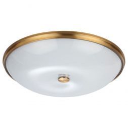 Потолочный светильник Odeon Light Pelow 4956/6