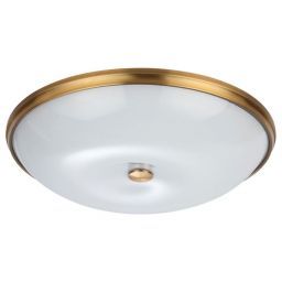 Потолочный светильник Odeon Light Pelow 4956/6 (ODEON 4956/6)