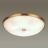 Потолочный светильник Odeon Light Pelow 4956/6