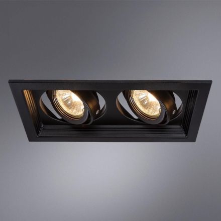 Встраиваемый светильник Arte Lamp A6661PL-2BK Canis
