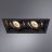Встраиваемый светильник Arte Lamp A6661PL-2BK Canis