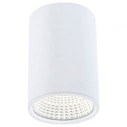 Светильник Citilux CL558100