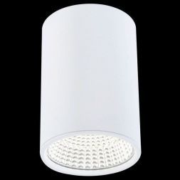 Светильник Citilux CL558100