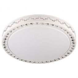 Потолочный светодиодный светильник Escada 10222/S LED