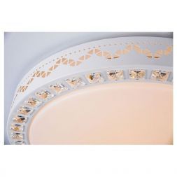 Потолочный светодиодный светильник Escada 10222/S LED