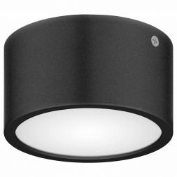 Уличный светодиодный светильник Lightstar 380174