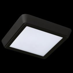 Потолочный светодиодный светильник Lightstar 216872