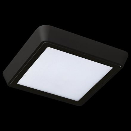 Потолочный светодиодный светильник Lightstar 216872