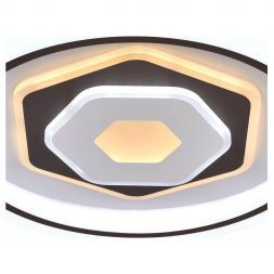 Потолочный светодиодный светильник F-Promo 2456-5C
