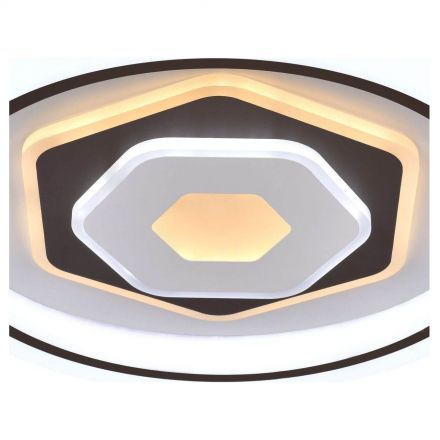 Потолочный светодиодный светильник F-Promo 2456-5C